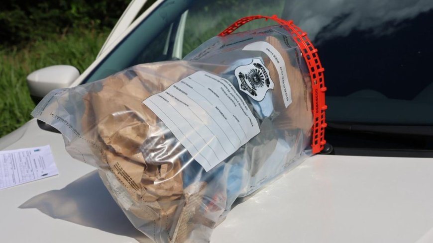 Motorista encontra crânio humano às margens da BR-262