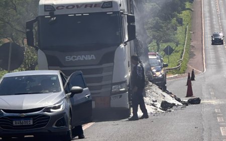 Caminhão com defensivos agrícolas incendeia na BR-267