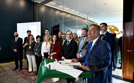 Relatório da Comissão de Relações Exteriores Propõe Estratégia Integrada para Fortalecer a Inserção Internacional do Brasil