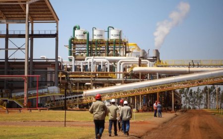 Estado registra menor taxa de desocupação em 12 anos