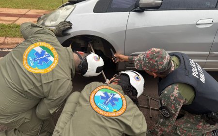 Equipe da UCDB resgata jiboia em carro no Parque dos Poderes