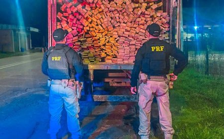 PRF apreende caminhão com 11m³ de madeira ilegal no Amazonas