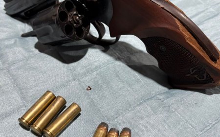 Polícia Civil apreende armas em Nova Andradina