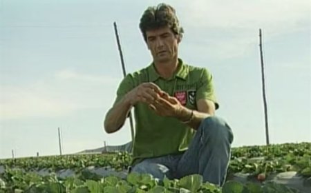 Assassinato do "rei do morango" leva júri ao terceiro dia de sessões