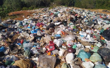 Câmara aprova aumento de pena por descarte de lixo hospitalar com Covid-19