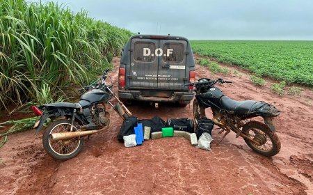 DOF apreende mais de 50 Kg de drogas em Itaquiraí