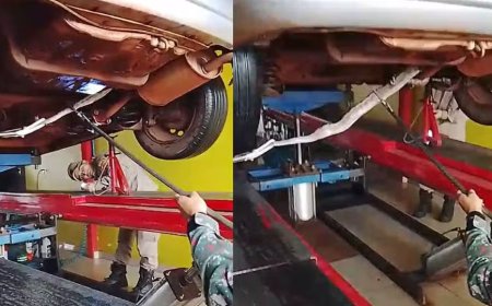 Cobra surpreende moradores ao ser encontrada em carro em Dourados