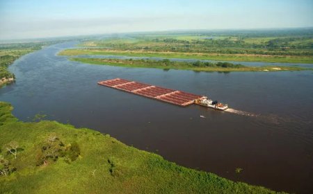Rios de MS mostram extremos: Paraguai seco, Miranda e Taquari em alerta
