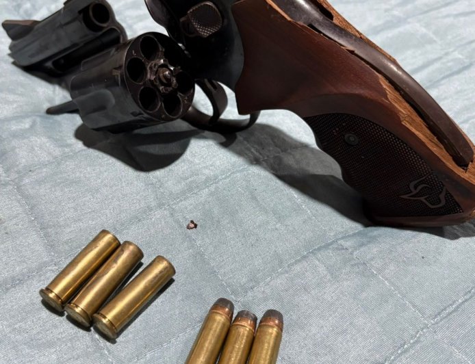 Polícia Civil apreende armas em Nova Andradina