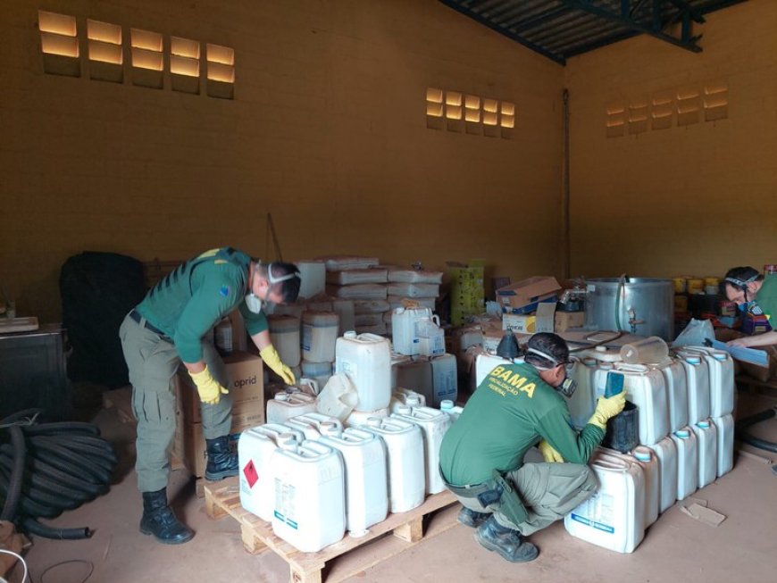 Ibama intensifica fiscalização de agrotóxicos em Campos Lindos (TO)