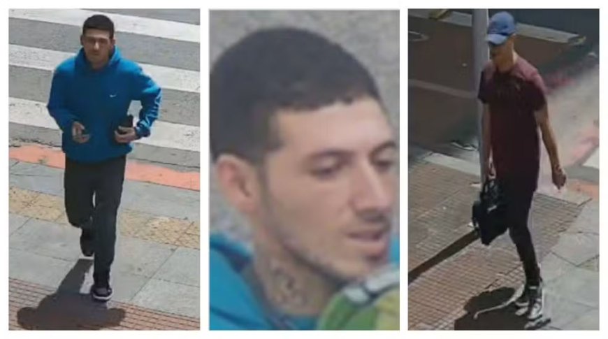 Biblioteca Mário de Andrade é alvo de furto de 13 gravuras raras