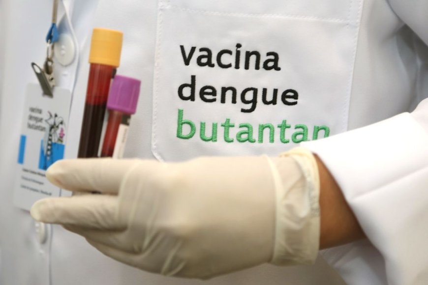 Butantan recebe aprovação da Anvisa para vacina contra dengue