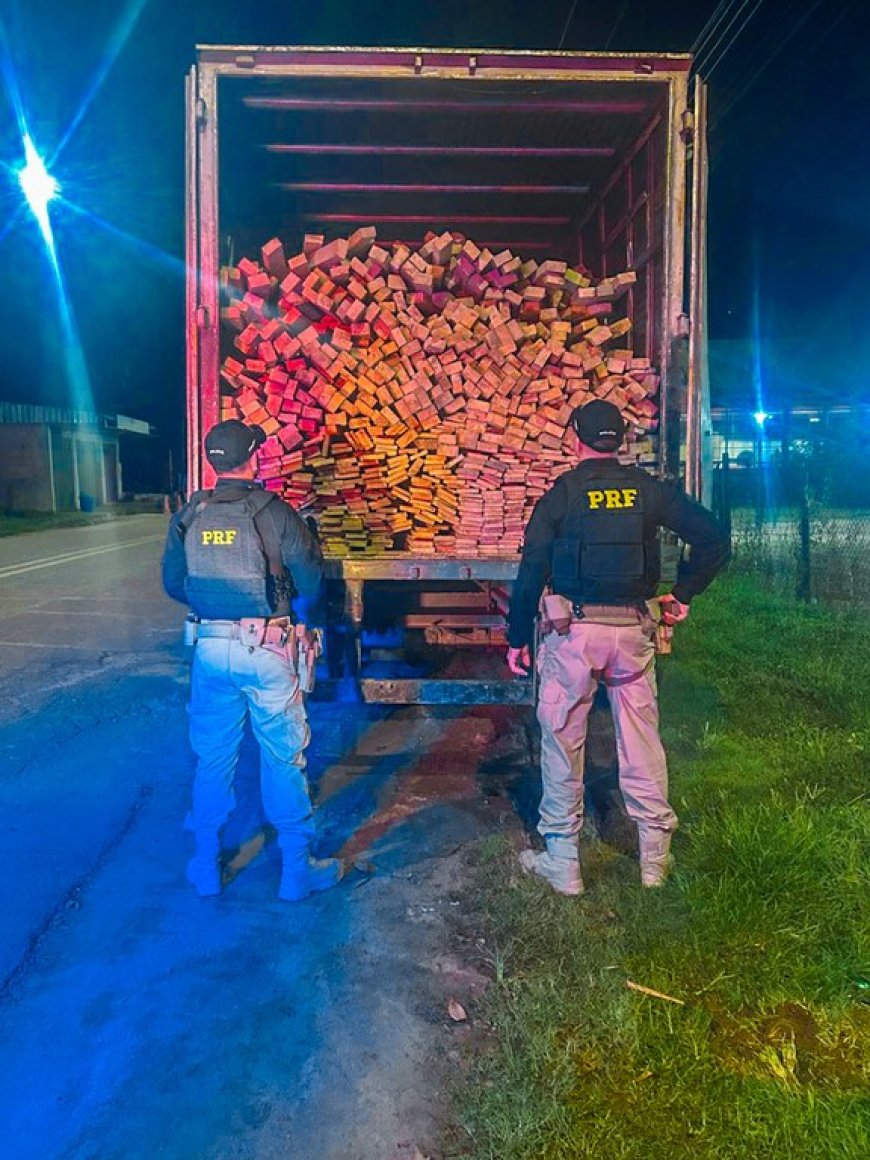 PRF apreende caminhão com 11m³ de madeira ilegal no Amazonas