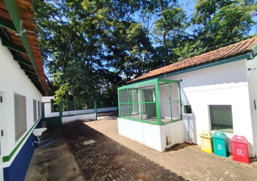 Novo Cetas em Três Lagoas amplia cuidado com animais silvestres