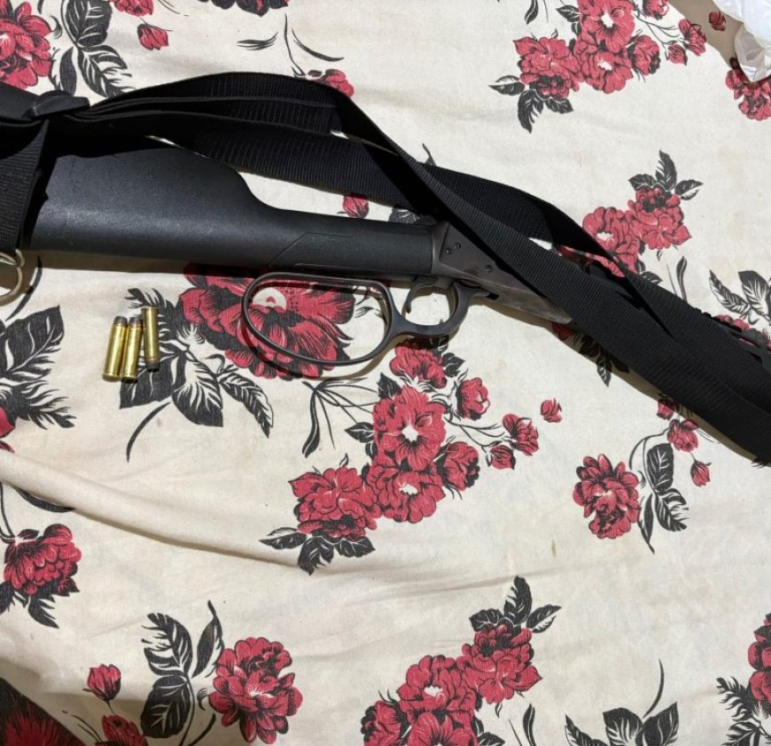 Polícia Civil apreende armas em Nova Andradina