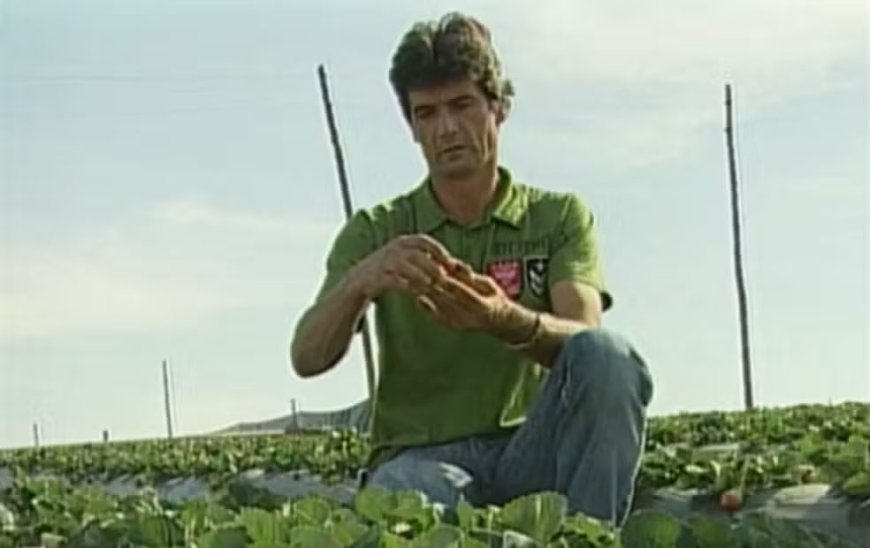 Assassinato do "rei do morango" leva júri ao terceiro dia de sessões