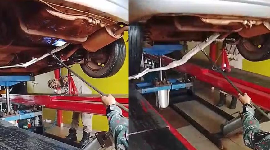 Cobra surpreende moradores ao ser encontrada em carro em Dourados