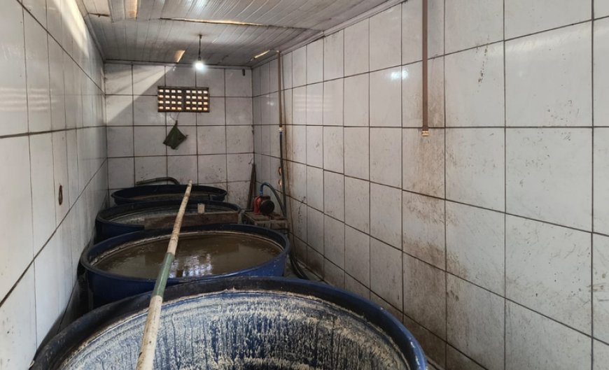 Mapa intensifica combate a bebidas clandestinas no Ceará