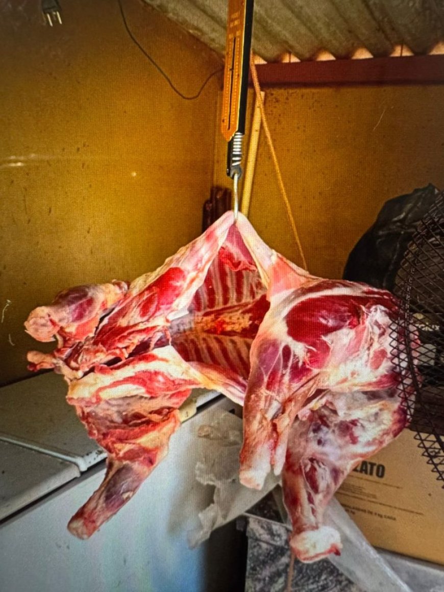 Polícia Civil esclarece furto de carneiros em fazenda da região