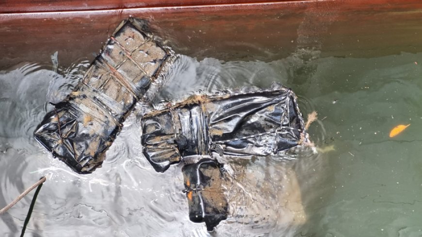 PF apreende cerca de 100 kg de cocaína em navio com destino à África do Sul