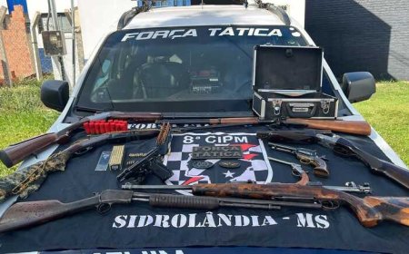 Arsenal e mais de 240 munições são encontrados em contêiner em Sidrolândia