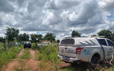 Corpo de idoso desaparecido é encontrado em matagal na BR-060