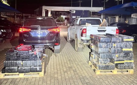 Operação integrada prende motorista e apreende grande carga de maconha