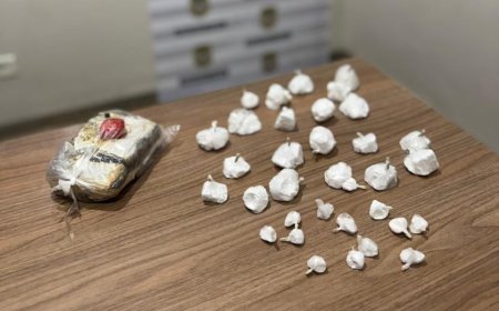 Polícia Civil apreende grande quantidade de drogas em Chapadão do Sul