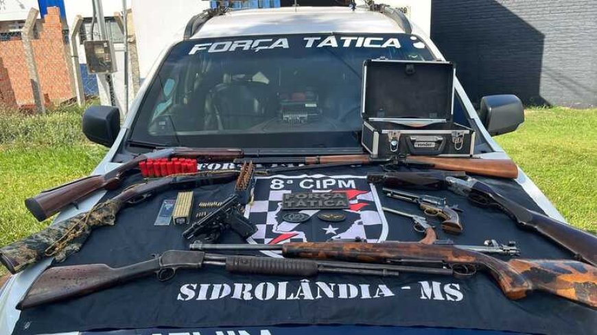 Arsenal e mais de 240 munições são encontrados em contêiner em Sidrolândia