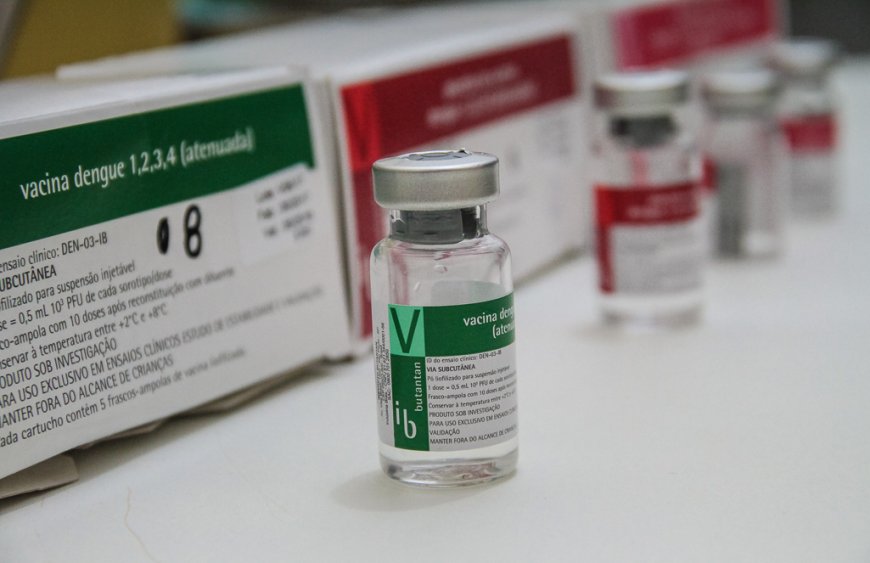 Vacina da dengue do Butantan será aplicada em três cidades a partir de janeiro