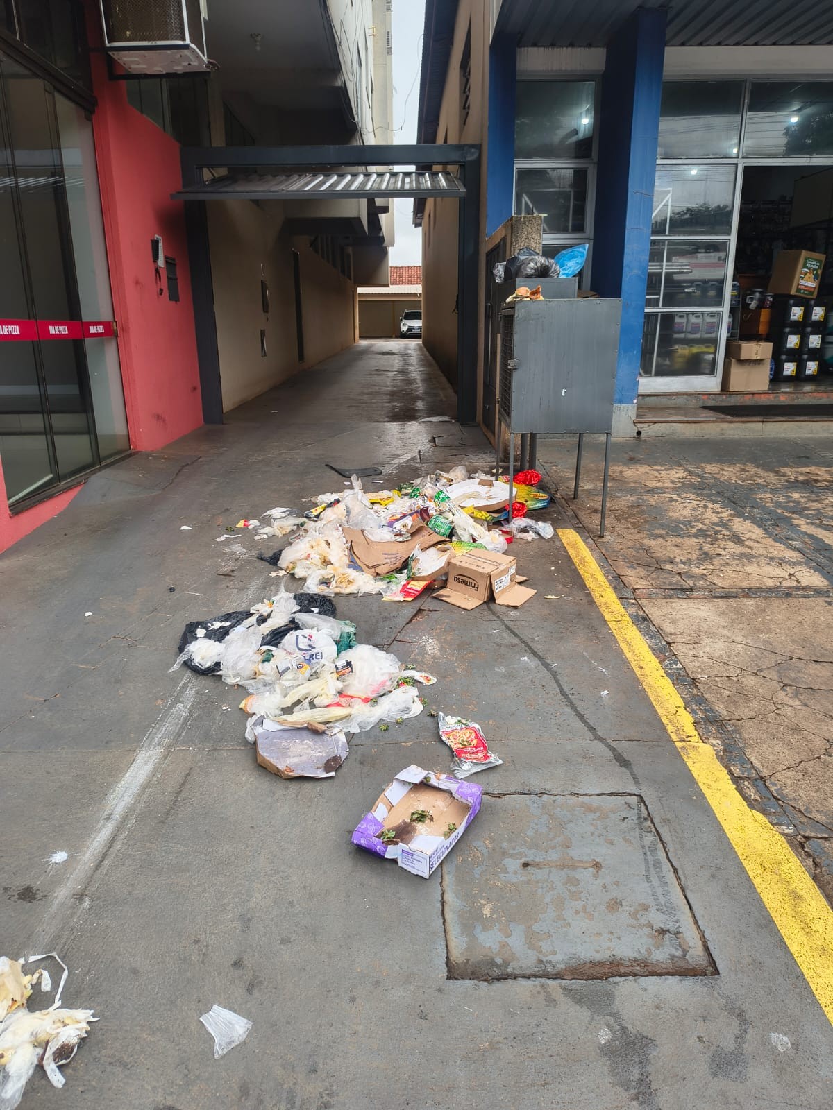 Falta de contêiner de lixo gera reclamações em avenida