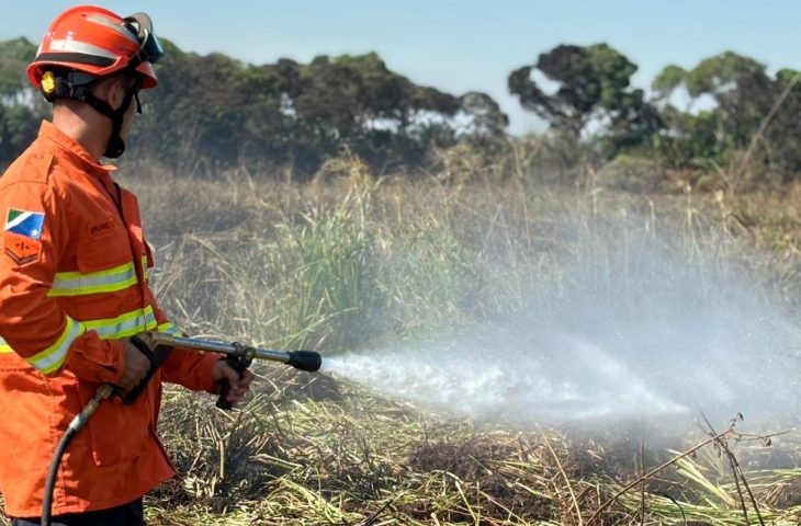 Bombeiros de MS se preparam para temporada de incêndios florestais com treinamentos e ações em campo