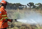Bombeiros de MS se preparam para temporada de incêndios florestais com treinamentos e ações em campo