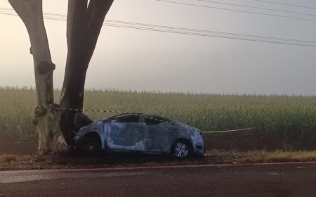 Tragédia na MS-379: Colisão contra árvore deixa dois mortos e um ferido grave entre Dourados e Panambi