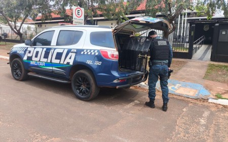 PM cumpre dois mandados de prisão em Ivinhema