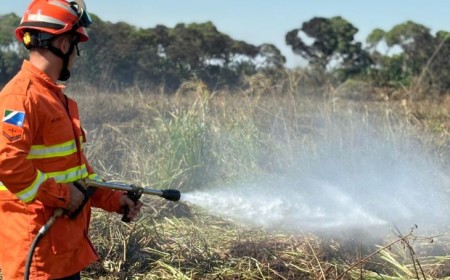 Bombeiros de MS se preparam para temporada de incêndios florestais com treinamentos e ações em campo