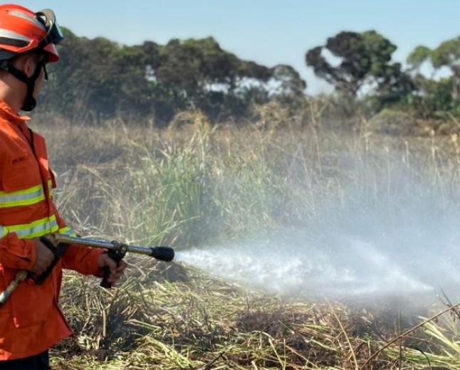 Bombeiros de MS se preparam para temporada de incêndios florestais com treinamentos e ações em campo