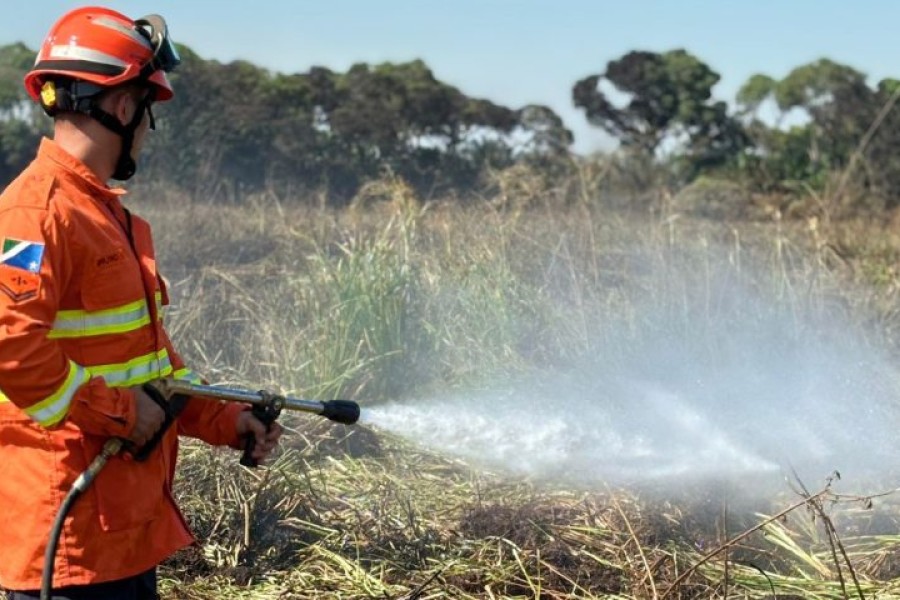 Bombeiros de MS se preparam para temporada de incêndios florestais com treinamentos e ações em campo