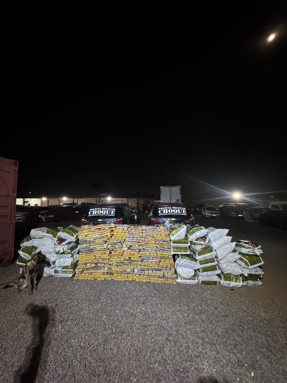 Batalhão de Choque descobre 'bunker' e apreende 1,2 tonelada de maconha em Campo Grande