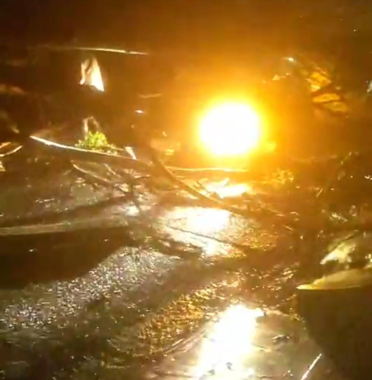 Árvore despenca sobre carro com bebê de 6 meses e fiação energizada no Bairro Zé Pereira