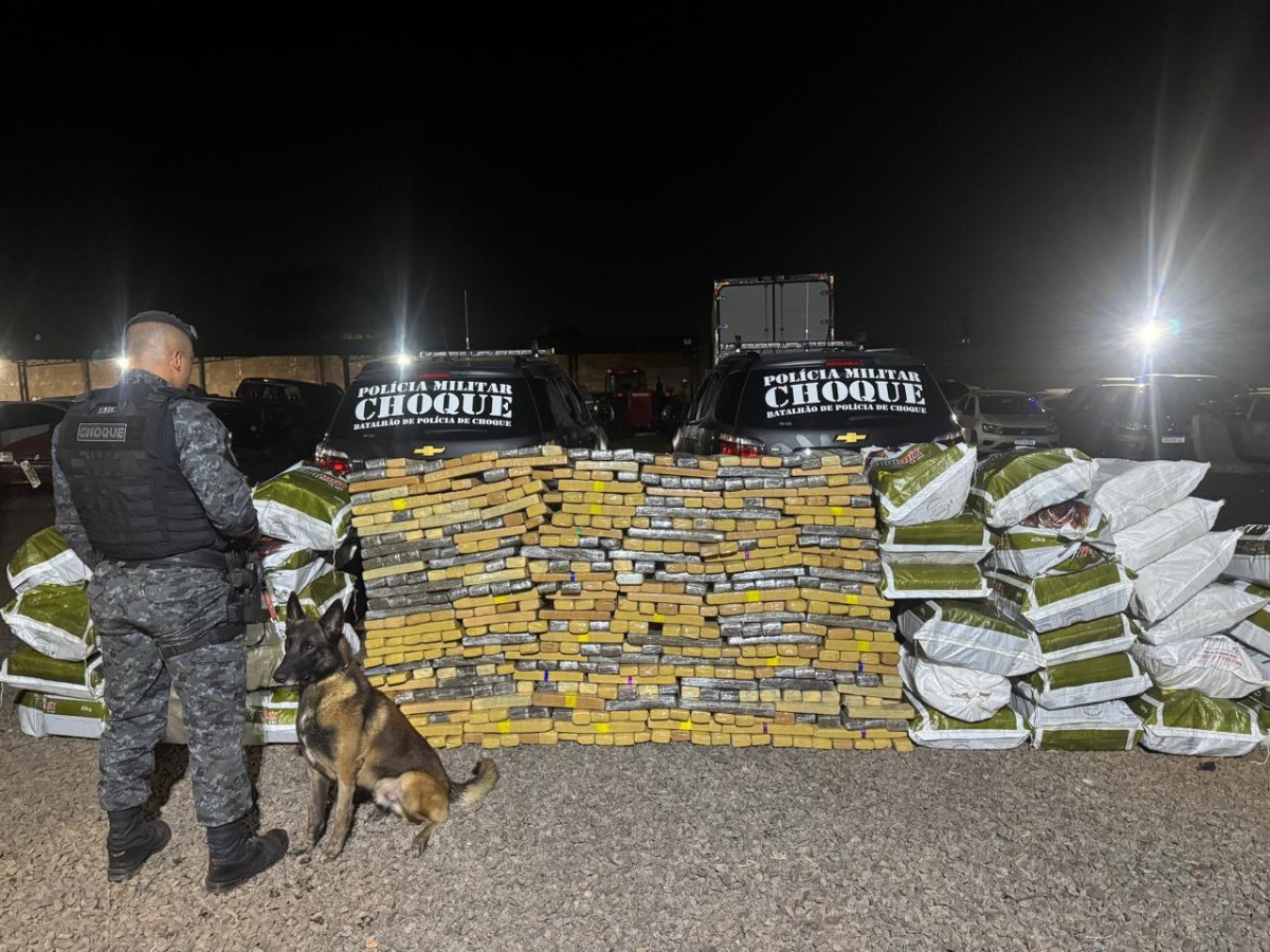 Batalhão de Choque descobre 'bunker' e apreende 1,2 tonelada de maconha em Campo Grande