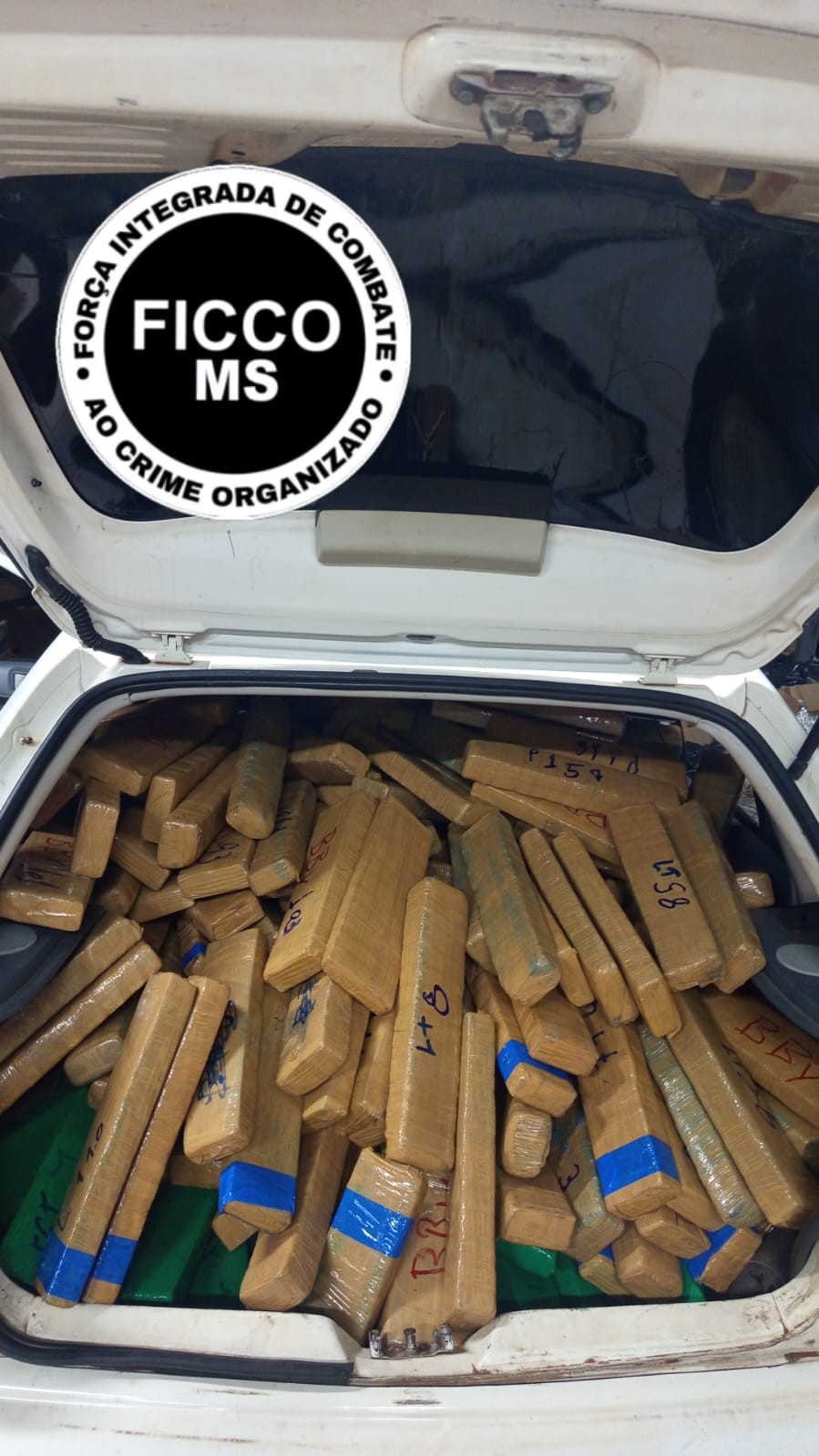 Ação integrada entre FICCO/MS e BPCHOQUE apreende quase 400 kg de drogas no MS