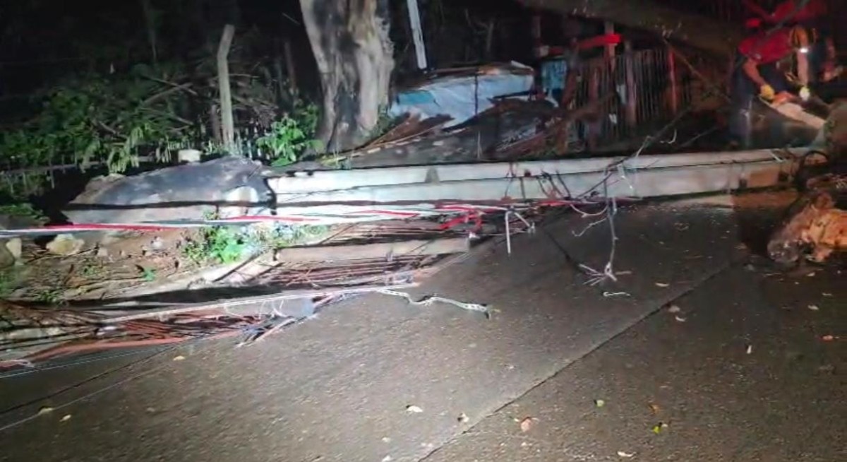 Árvore despenca sobre carro com bebê de 6 meses e fiação energizada no Bairro Zé Pereira