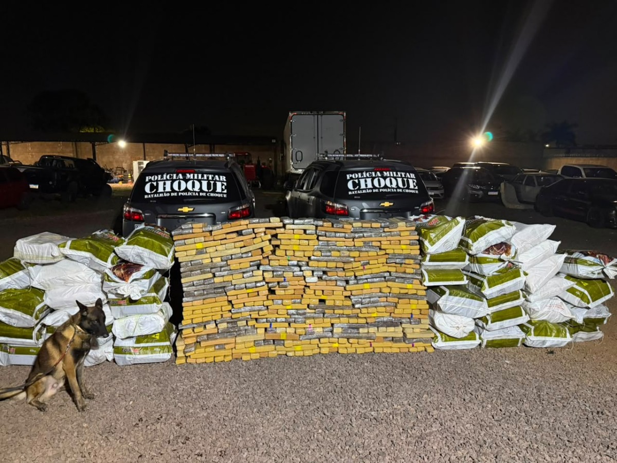 Batalhão de Choque descobre 'bunker' e apreende 1,2 tonelada de maconha em Campo Grande