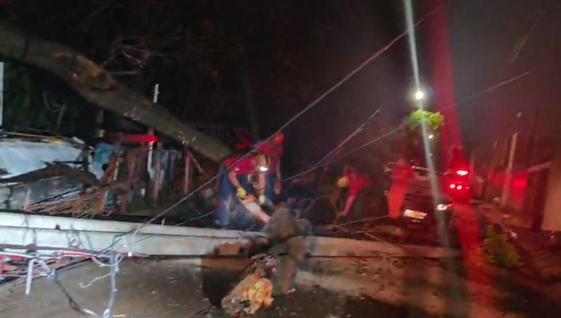 Árvore despenca sobre carro com bebê de 6 meses e fiação energizada no Bairro Zé Pereira