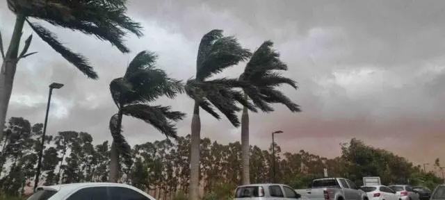 Ventos de até 80 km/h ameaçam causar transtornos em MS
