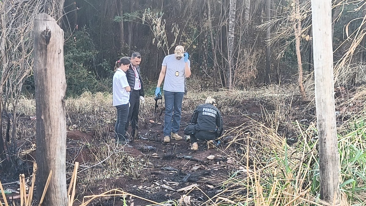 Ossada humana é encontrada em terreno baldio após queimada no Zé Pereira, em Campo Grande