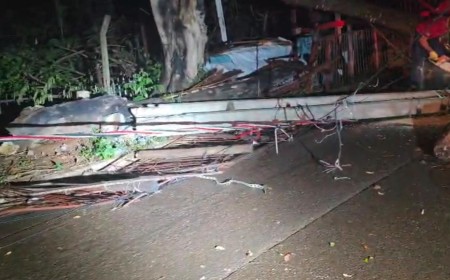 Árvore despenca sobre carro com bebê de 6 meses e fiação energizada no Bairro Zé Pereira