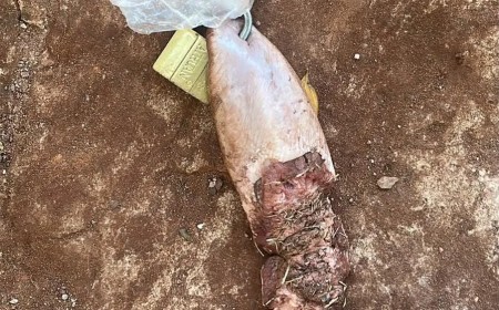 Jovem é ameaçada de morte com língua de vaca e cadeado na fronteira com Paraguai
