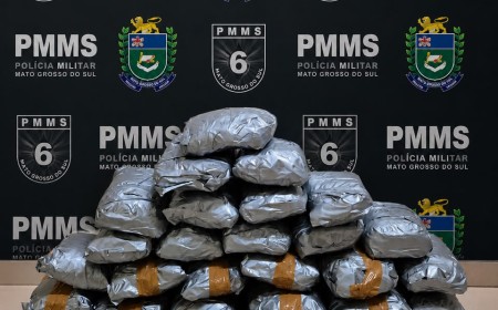 Operação Protetor apreende 13,3 kg de skunk e prende mulher por tráfico na BR-262 em Corumbá